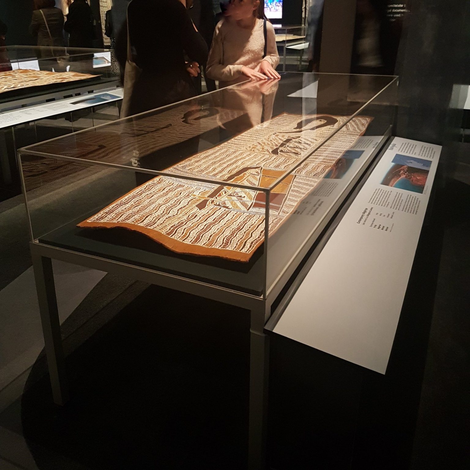 Museum Quality Display Case Specifications What to Know